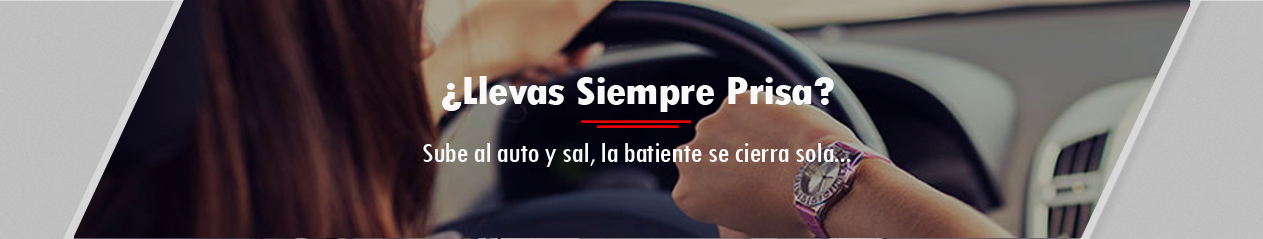 bg-inici