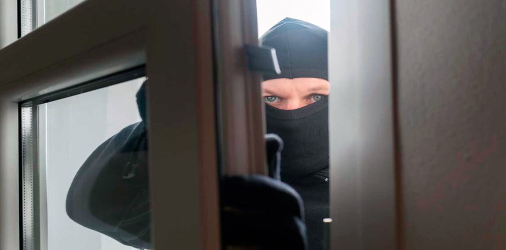 La seguridad de su Empresa o Negocio