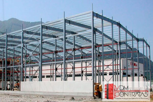estructura-1